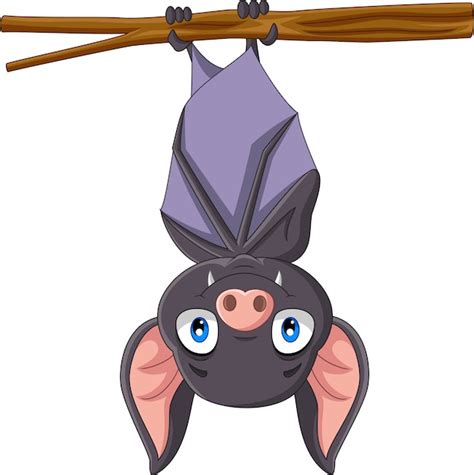 Premium Vector Cute Bat Cartoon Hanging On The Branch