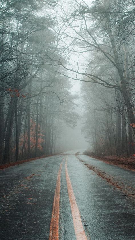 Download Wallpaper 938x1668 Road Fog Forest Autumn Marking Asphalt