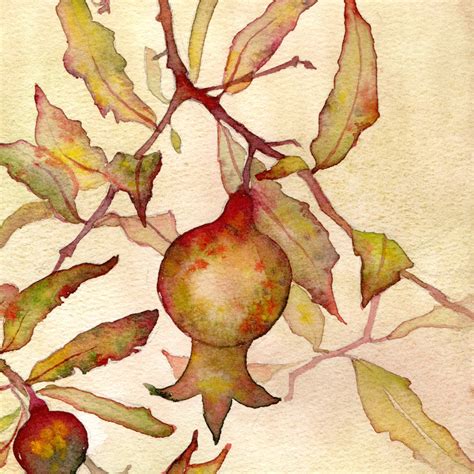 Pomegranate Painting Original Art Red Fruit Watercolor Wall Inspire