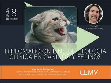 Curso Online De Etología Clínica En Caninos Y Felinos Cemv Argentina