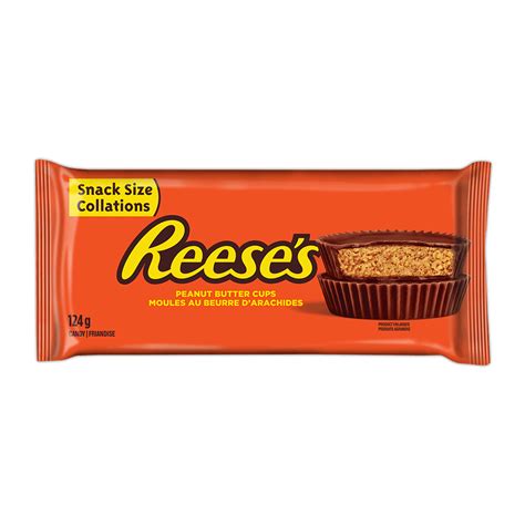 Reeses Milk Chocolate Peanut Butter Cups Snack Size Candy 124g
