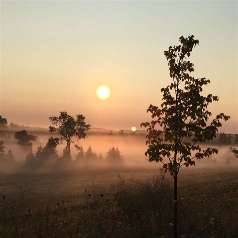 Morning Mist Moonlight Mists Nature Photography Morning Celestial