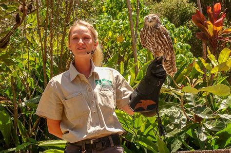 Currumbin Wildlife Sanctuary A Gold Coast Must See Josie Wanders