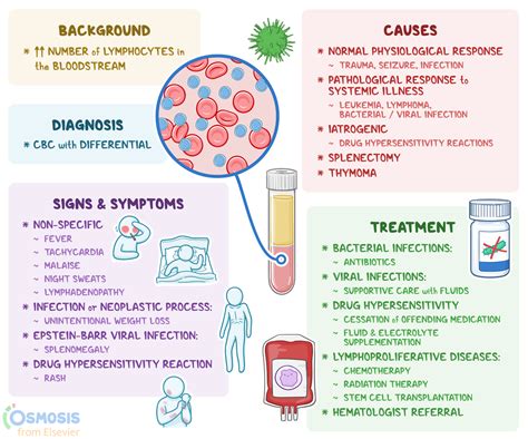 Lymphocytosis What It Is Causes Signs And Symptoms And More Osmosis