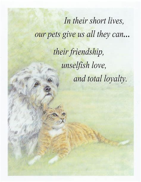 Veterinary Wisdom® S10 Pet Sympathy Card