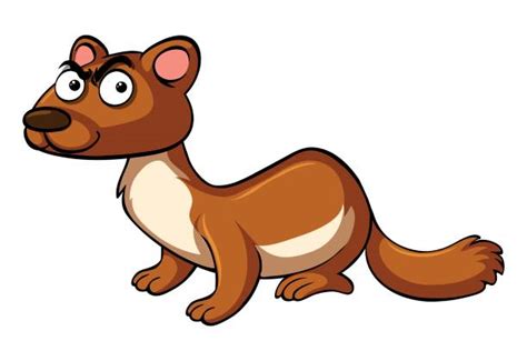 Collection Of Mongoose Clipart Free Download Best Mongoose Clipart On