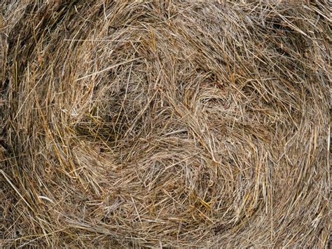 Hay For Compost Tips For Using Hay In Compost Piles