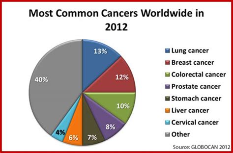 Description Pie Chart Showing The Most Common Cancers Worldwide In 2012