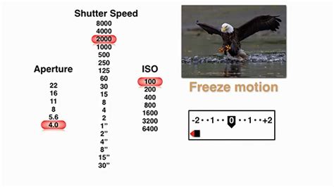 Exposure Basics How To Choose Iso Aperture And Shutter Speed Settings