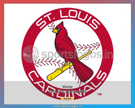St Louis Cardinals 1965 National League Baseball Sports Vector