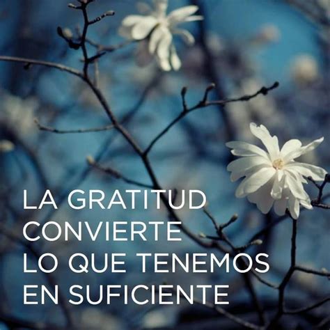 Imágenes Con Mensajes De Gratitud Para Reflexionar