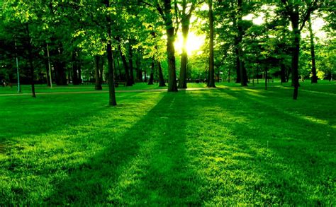 Hd Green Landscape Wallpapers Top Free Hd Green Landscape Backgrounds