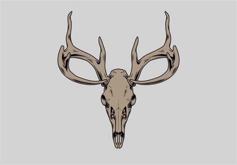 Deer Skull Vector Illustration 230148 Vector Art At Vecteezy