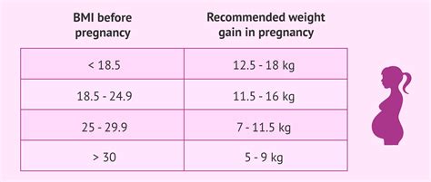 How Many Kilos To Gain During Pregnancy