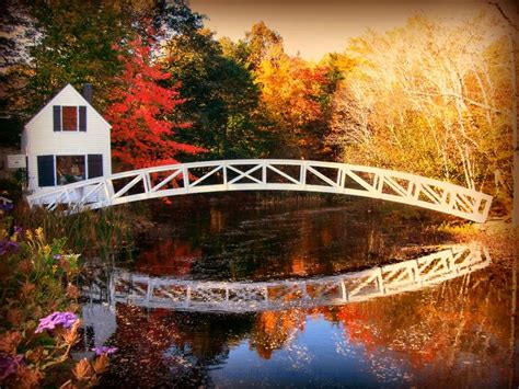 🔥 46 Maine Fall Foliage Wallpaper Wallpapersafari