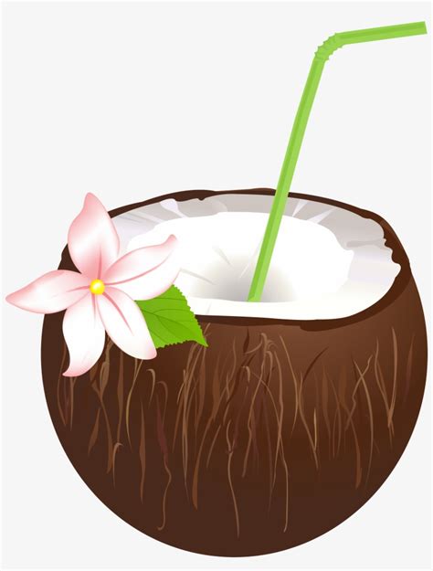 Summer Coconut Drink Png Clip Art Image X PNG Download PNGkit