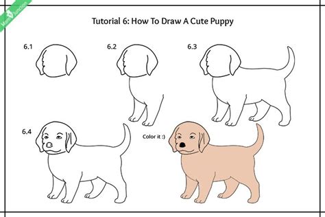 Step By Step Guide On How To Draw A Dog For Kids Puppies Puppy