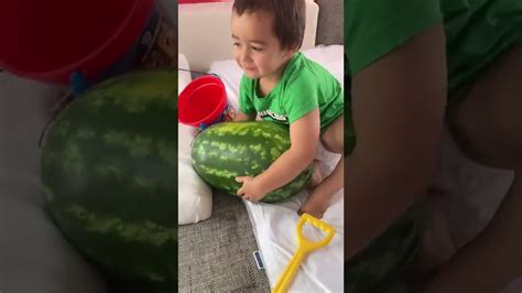Giant Watermelon Short Youtube