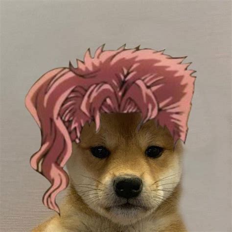 Cursed Jojokes Oi Jojo Anime Dog Icon Jojo Bizzare Adventure
