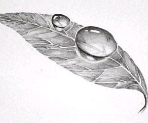 Drawing nature for the absolute beginner: Easy 3D Art Pencil Drawing: How to Draw 3D Dew Drop on ...