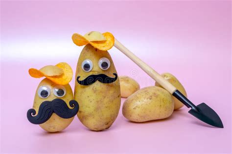 Funny Potato Head With Face On Pink Background Stock Image Image Of