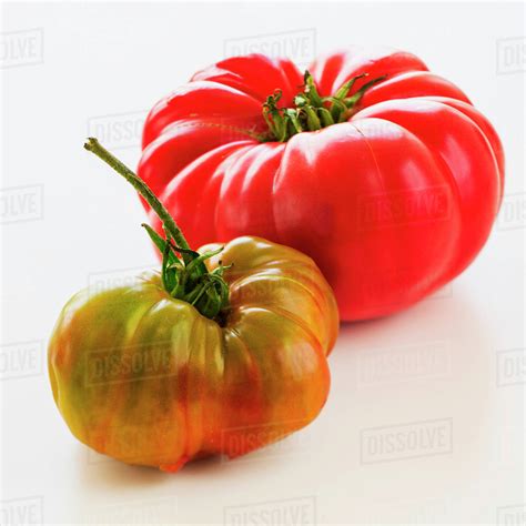 Heirloom Tomatoes Stock Photo Dissolve