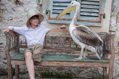 Who Are ‘the Durrells In Corfu’ Everything You Need To Know Before Season 2 Decider