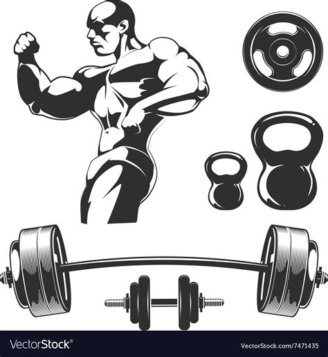 Elements For Vintage Fitness And Gym Labels Vector Image