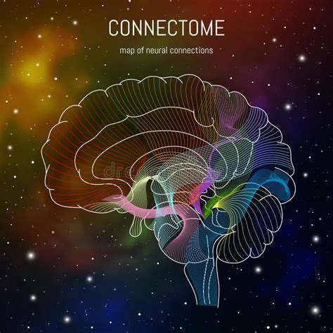 Neuroscience Infographic On Space Background Brain Cells Connectome