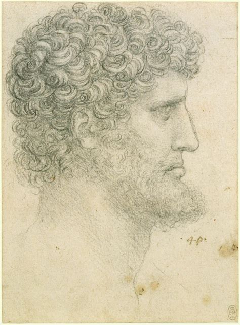 The Head Of A Bearded Man In Profile Leonardo Da Vinci Vinci 1452