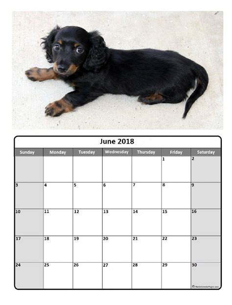 Free Printable Calendar 2022 Dogs Calendar Example And Ideas