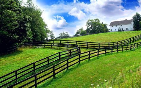 Farm Fences Wallpaper