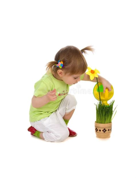 Little Girl Watering Potted Flower Stock Photo Image Of Gardening