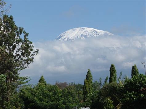 Mount Kilimanjaro Environmental Conservation Tree Planting Weather In