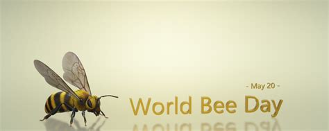 World Bee Day 2020 Why Bee Day Is Celebrated Know The Importance Of