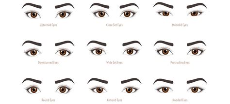 Eye Shapes And Appropriate Colours Makeup Fundamentals Manicare