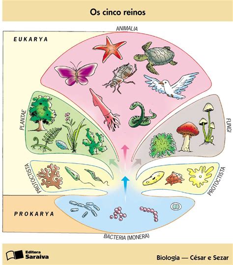 Pin De Eduardo Sánchez En Reinos Y Dominios De La Naturaleza