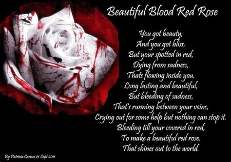 Beautiful Poem Roses Beautiful Blood Red Rose Stories Songs And