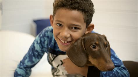 Paw-some breaks: Enjoy a pet-friendly escape with Shorefield