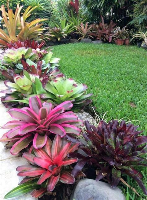 Less often in the tropical garden, the negative space may feature a lawn. 35 Amazing Tropical Landscaping Ideas To Make Beautiful ...