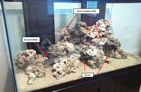 Coral reef aquascaping is used in marine/saltwater tanks and aims to replicate a natural coral reef system. Pin on Reef Aquascape