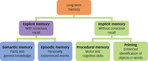 Image Result For Explicit Memory Memory Psychology Ap Psychology