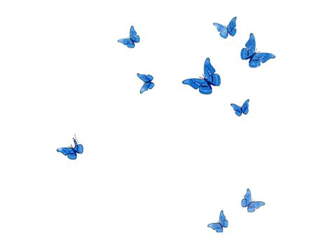 Tumblr Blue Butterfly Wallpaper Aesthetic Img Metro