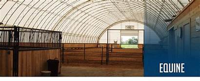 Riding Arenas Horse Equine Stables Equestrian Stable