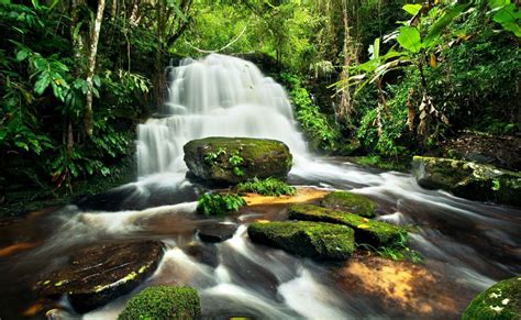 Nature Waterfall Jungle Forest Rocks River Phone Wallpapers