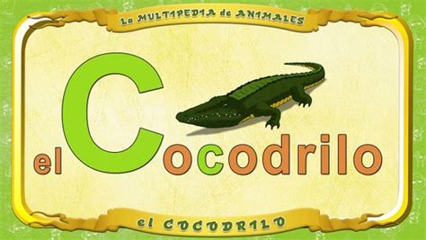 La Multipedia De Animalesletra C El Cocodrilo Dailymotion Video