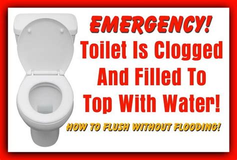 Toilet Is Clogged And Filled To Top With Water How To Flush Without