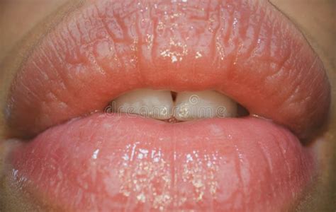 female lips close up macro sensual womens open mouth sensual forms of woman lips stock image