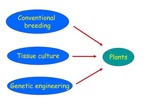 Ppt Plant Transformation Methods Powerpoint Presentation Free