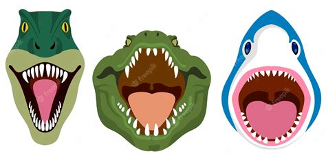 Animal Faces Clipart Nose And Mouth Clipart Animal Digital Clipart